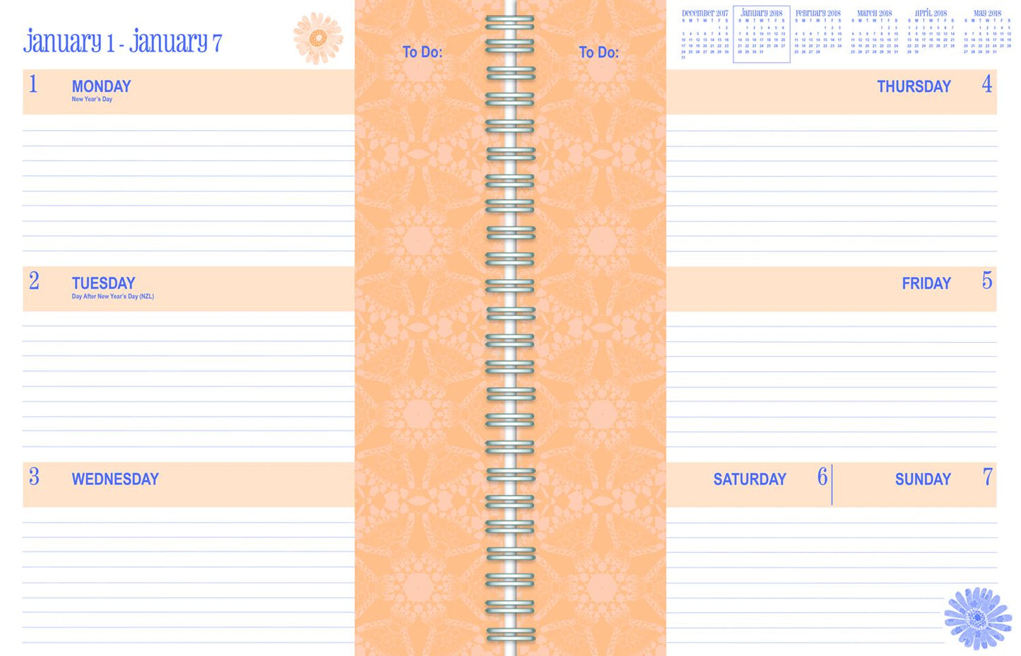 2018 LADYBIRD DELUXE PLANNER