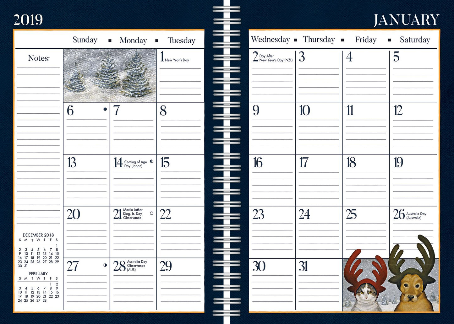 American Cat 2019 6.25 X 9 Engagement Planner - Spiral
