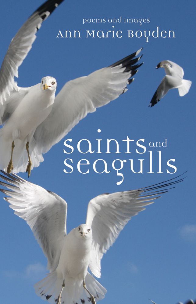Saints and Seagulls