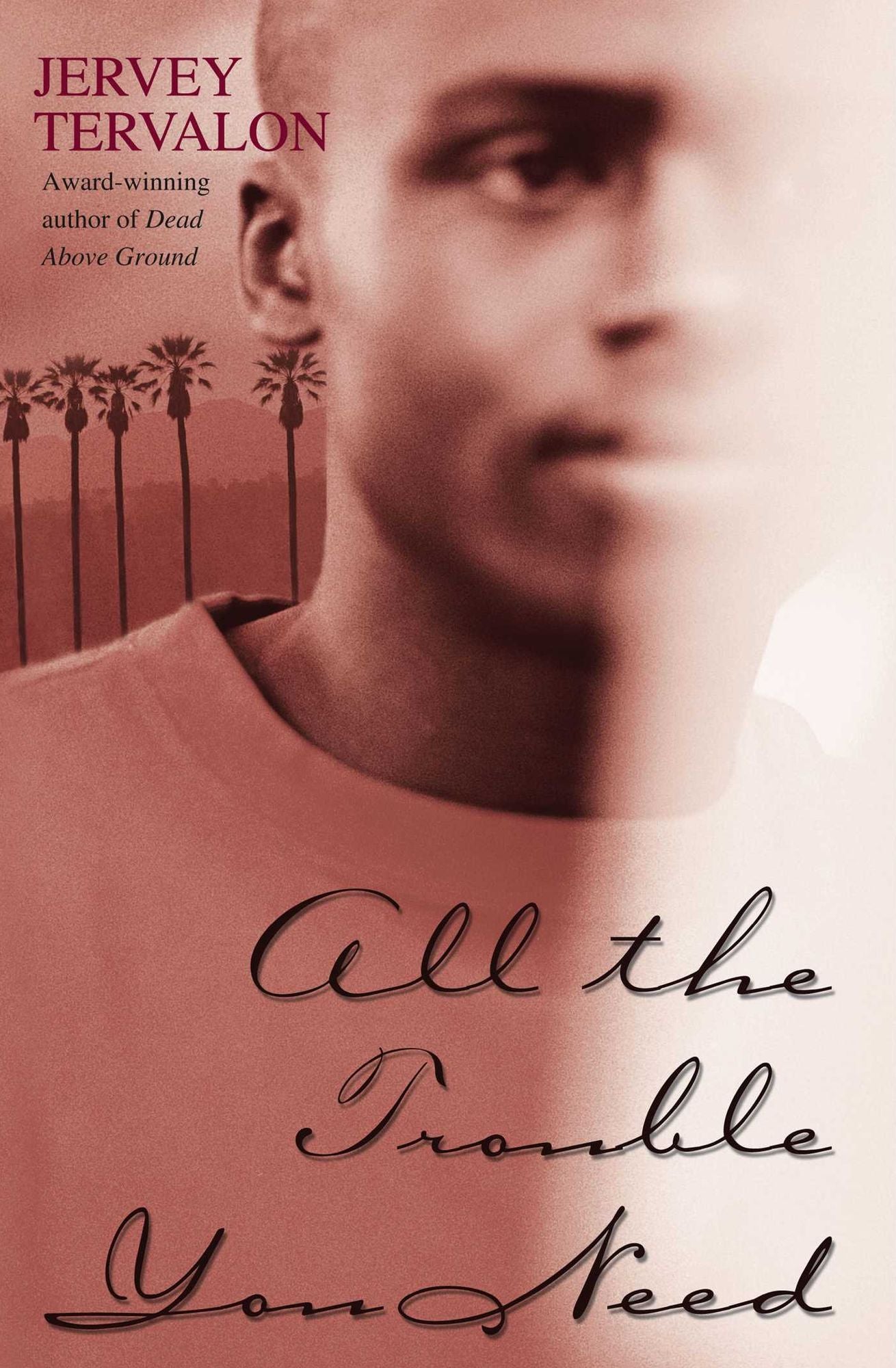 All the Trouble You Need: A Novel