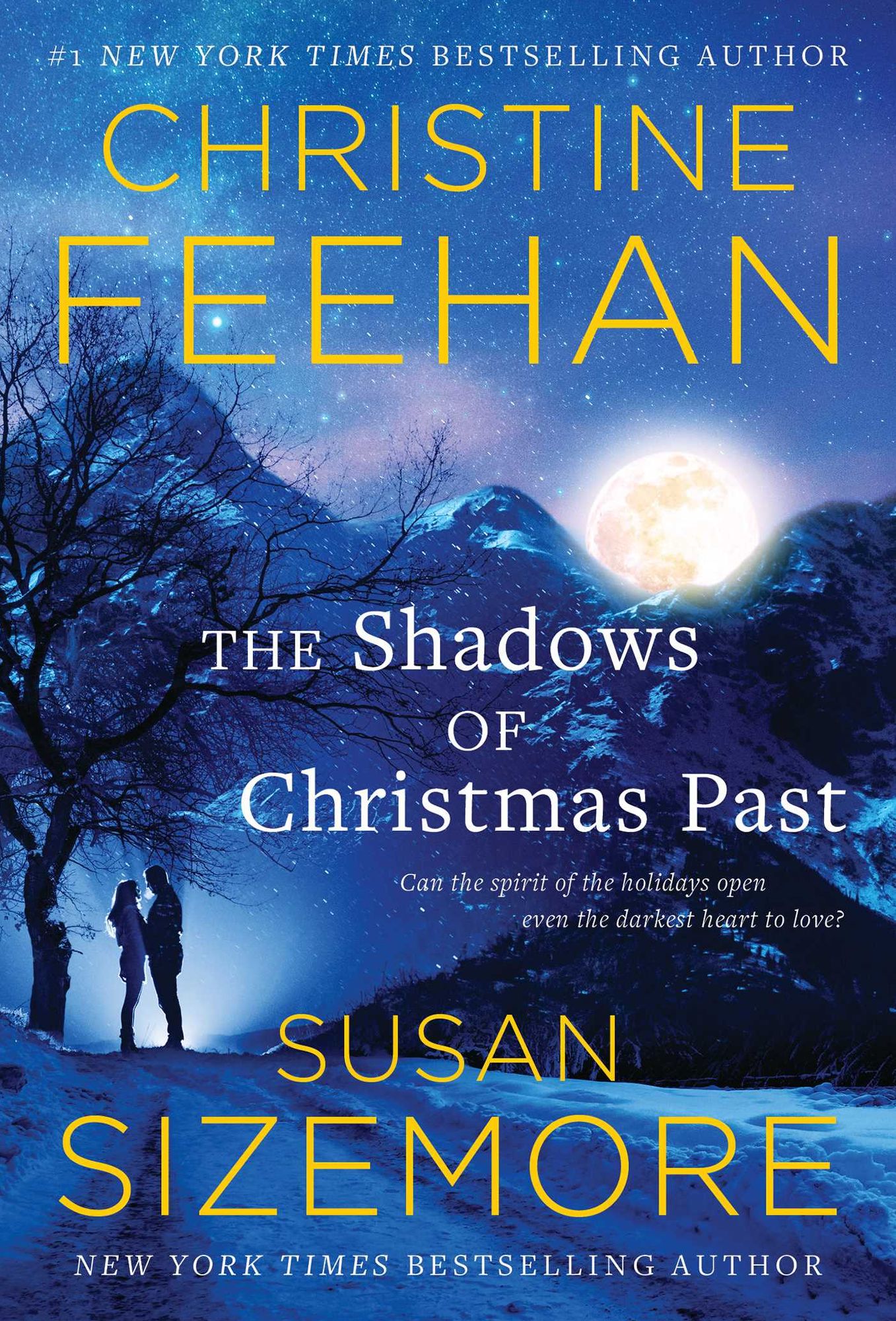 The Shadows of Christmas Past: Rocky Mountain Miracle / A Touch of Harry