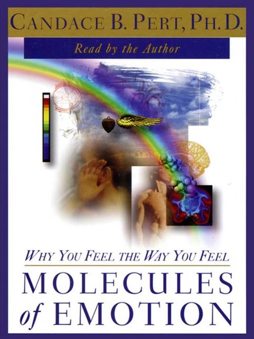 Molecules of Emotion: Why You Feel the Way You Feel
