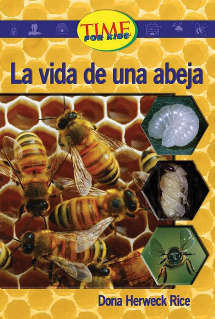 La vida de una abeja (A Bee's Life): Upper Emergent