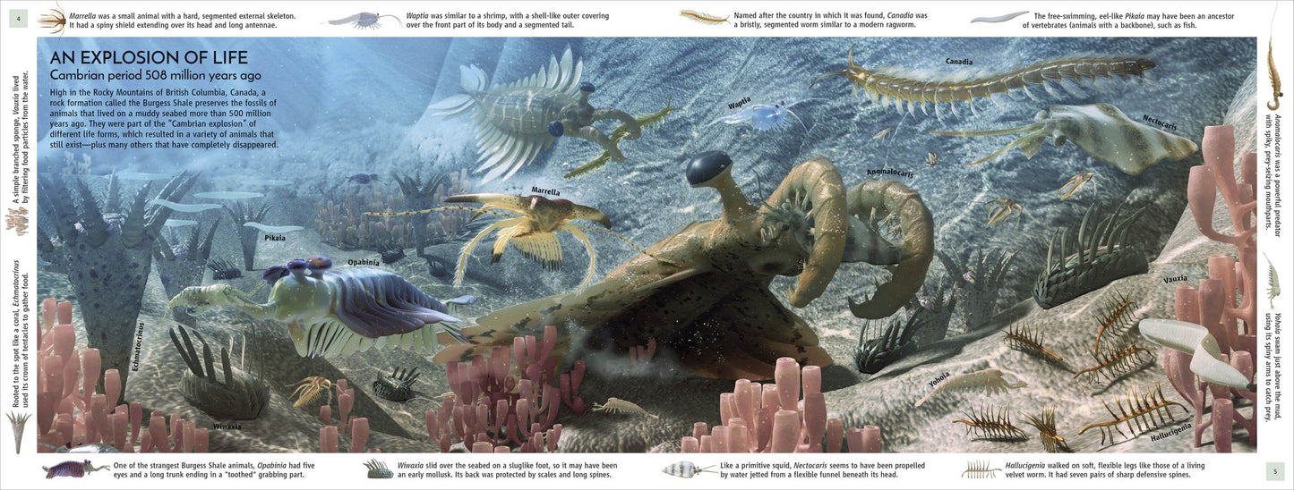 Life Through Time: The 700-Million-Year Story of Life on Earth