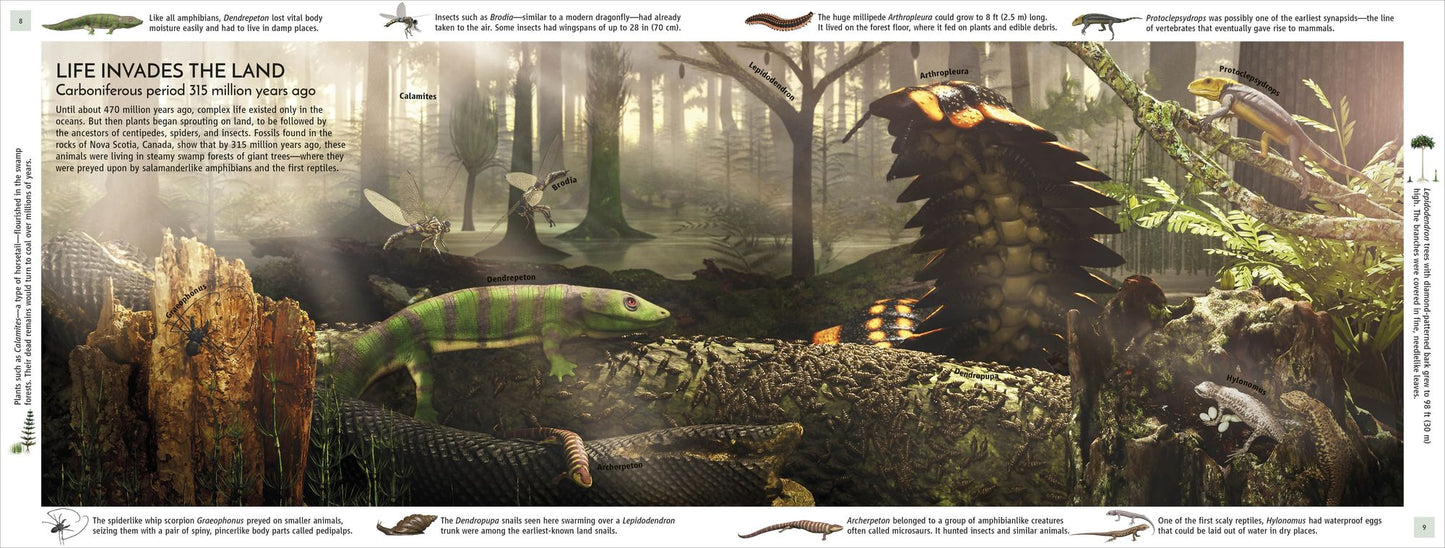 Life Through Time: The 700-Million-Year Story of Life on Earth
