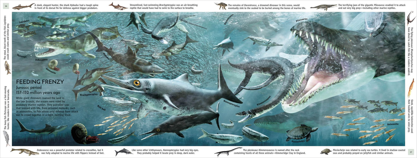 Life Through Time: The 700-Million-Year Story of Life on Earth