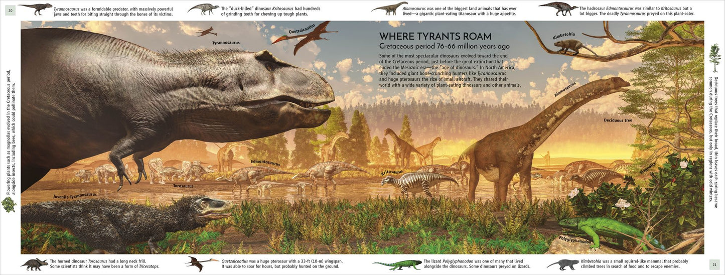 Life Through Time: The 700-Million-Year Story of Life on Earth