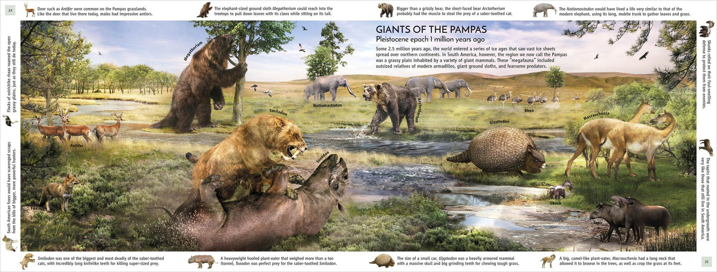 Life Through Time: The 700-Million-Year Story of Life on Earth