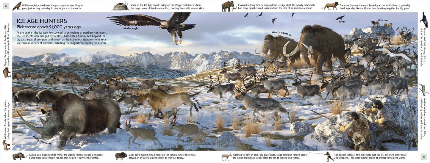 Life Through Time: The 700-Million-Year Story of Life on Earth