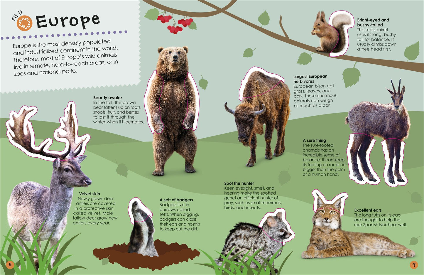 The Ultimate Sticker Book Animals: More Than 250 Reusable Stickers, Including Giant Stickers!