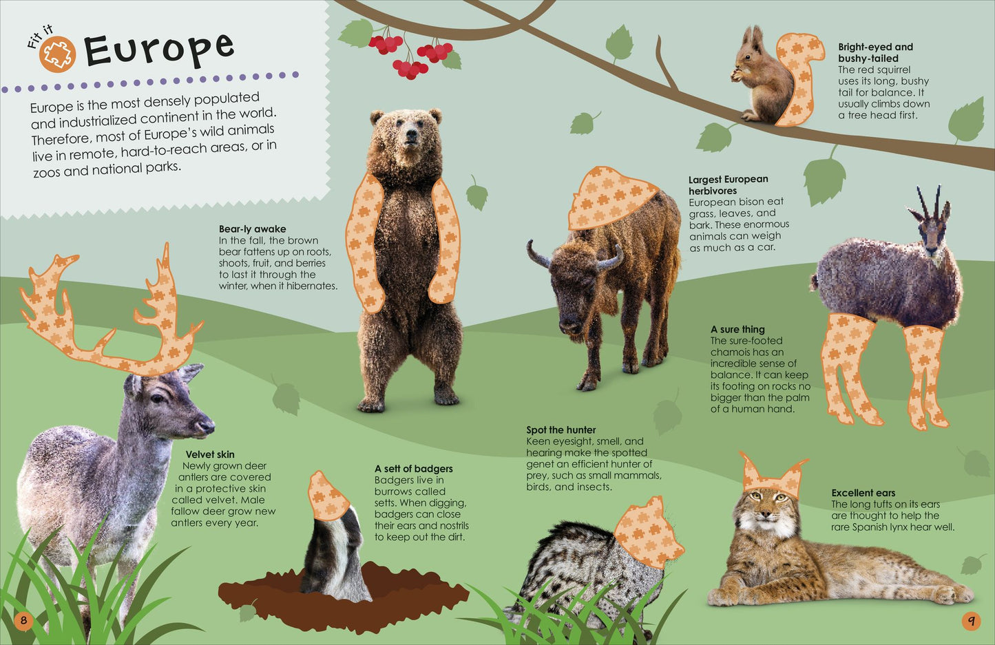 The Ultimate Sticker Book Animals: More Than 250 Reusable Stickers, Including Giant Stickers!