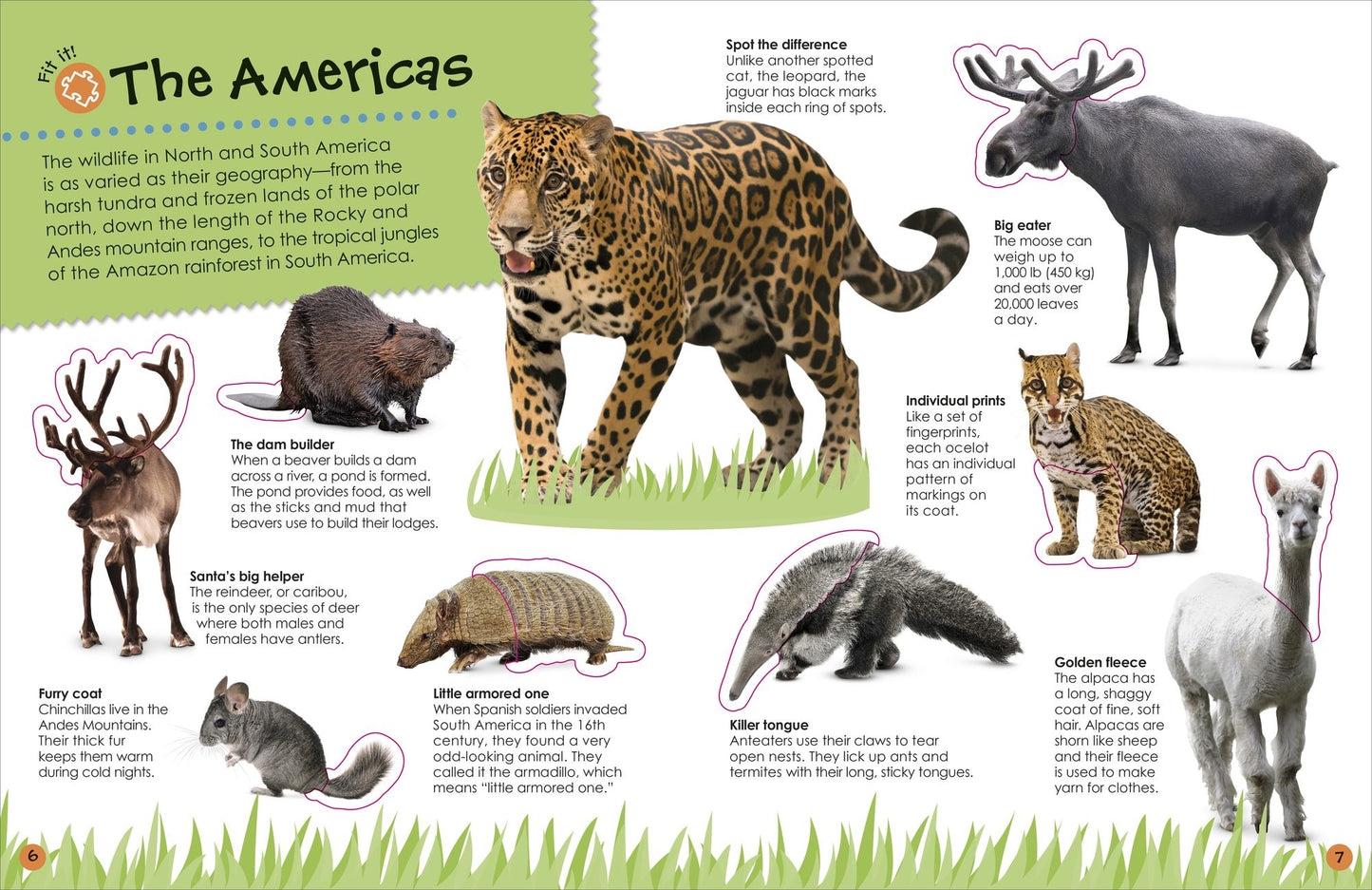The Ultimate Sticker Book Animals: More Than 250 Reusable Stickers, Including Giant Stickers!