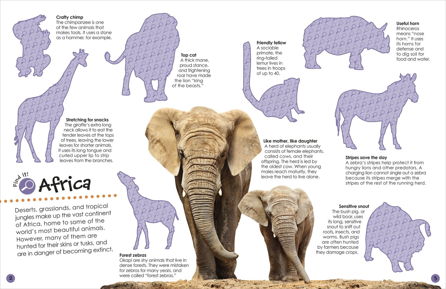 The Ultimate Sticker Book Animals: More Than 250 Reusable Stickers, Including Giant Stickers!