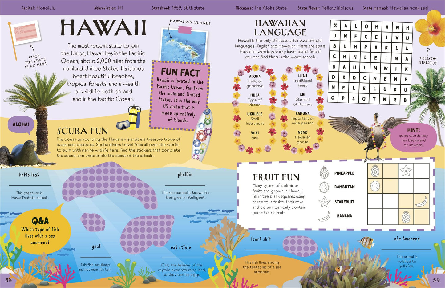 50 States Activity Book