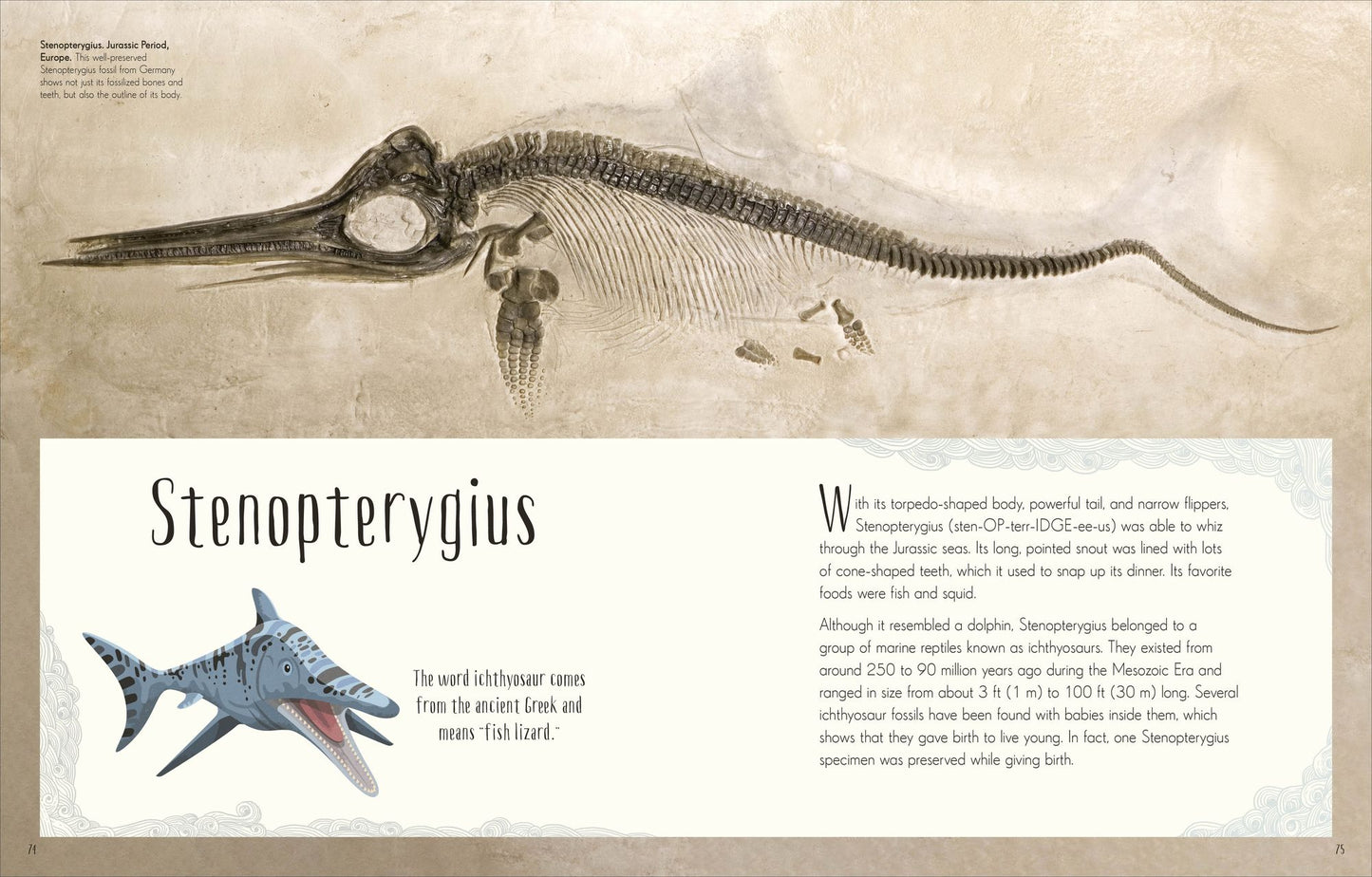 Dinosaurs and Other Prehistoric Life