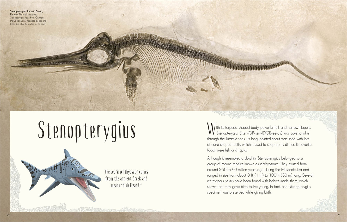 Dinosaurs and Other Prehistoric Life