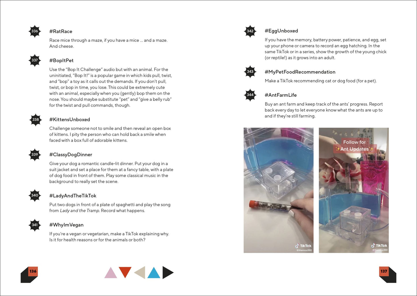 Make a TikTok Every Day: 365 Prompts for Attention-Grabbing TikToks