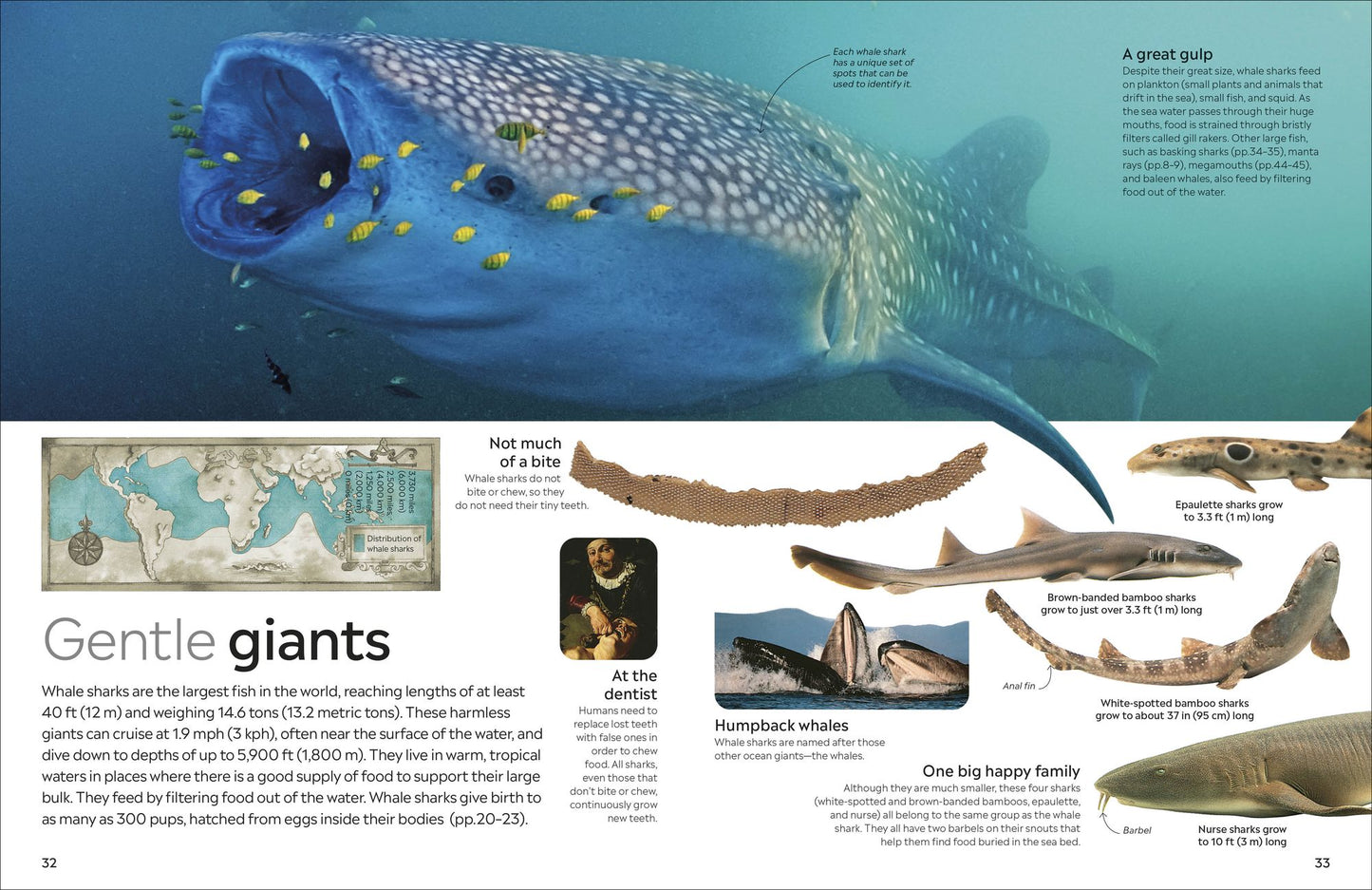 Eyewitness Shark: Dive into the fascinating world of sharks