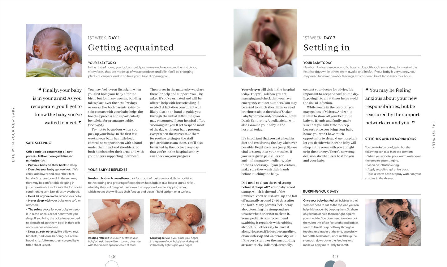Pregnancy Day by Day: Count Down Your Pregnancy Day by Day with Advice from a Team of Experts