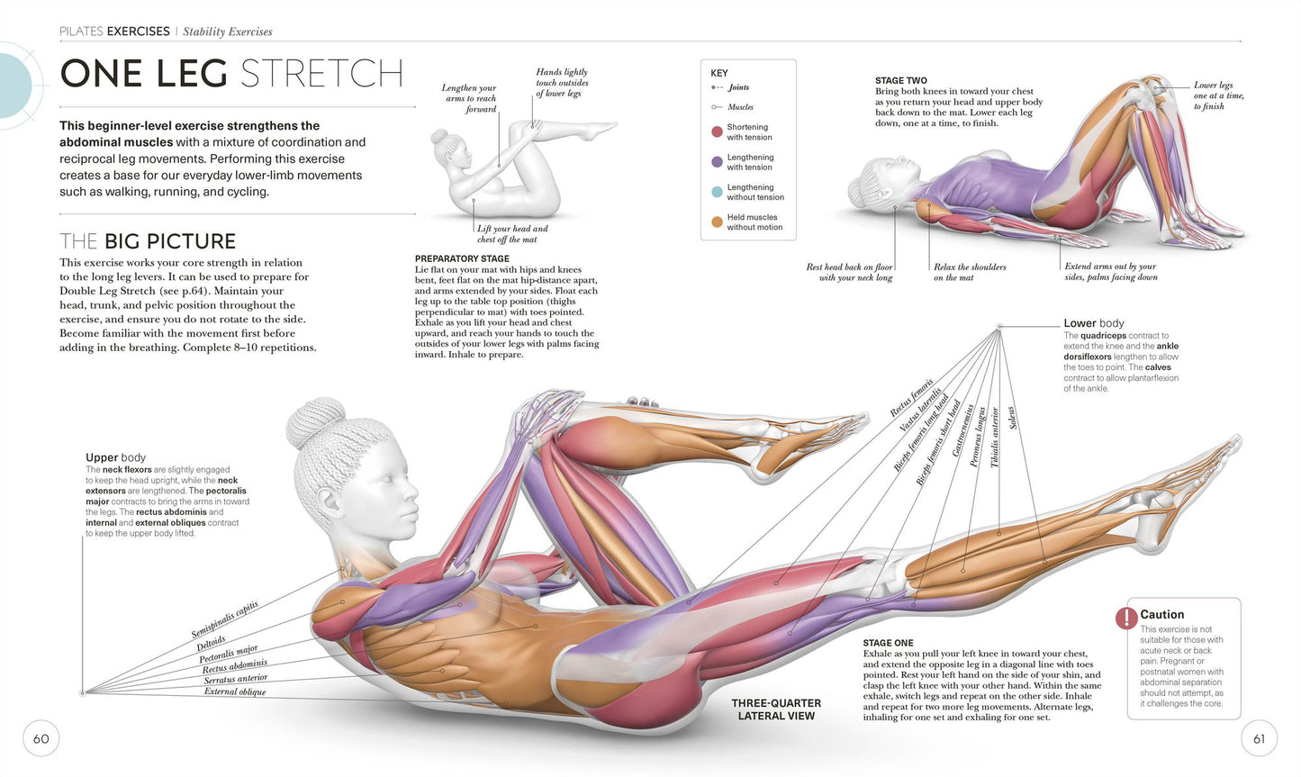Science of Pilates: Understand the Anatomy and Physiology to Perfect Your Practice
