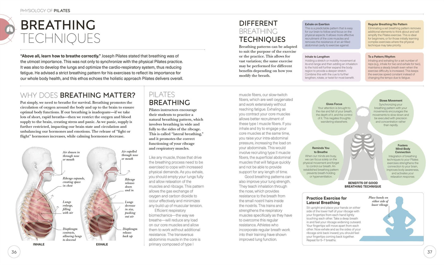 Science of Pilates: Understand the Anatomy and Physiology to Perfect Your Practice