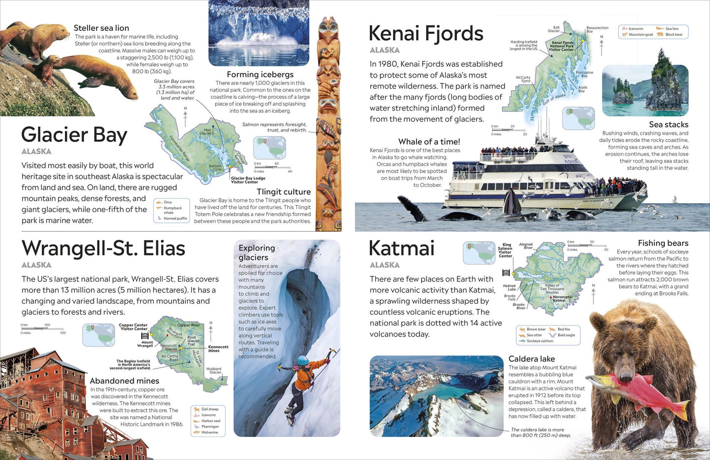 Eyewitness National Parks