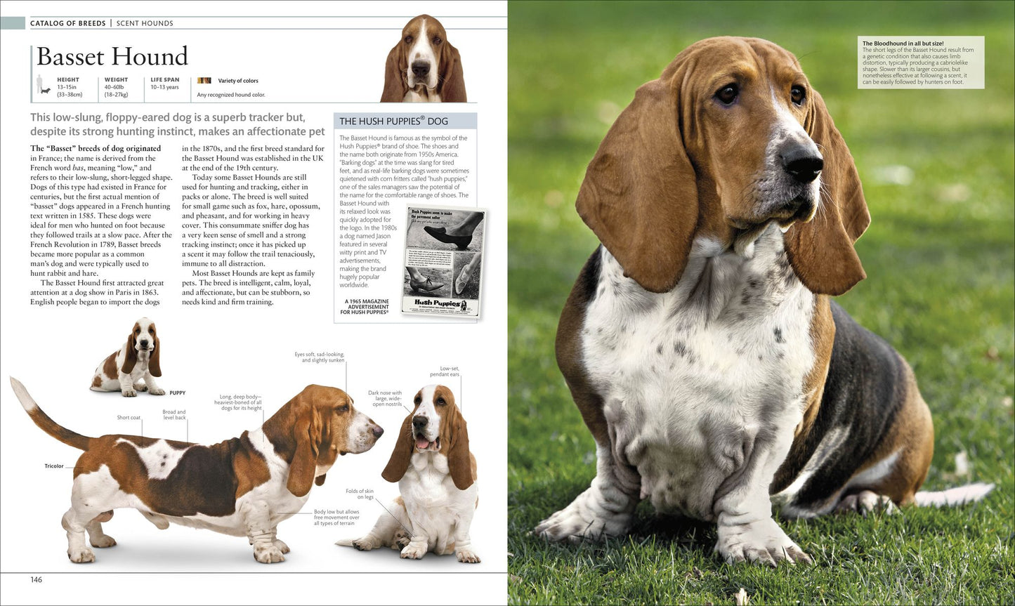 The Dog Encyclopedia