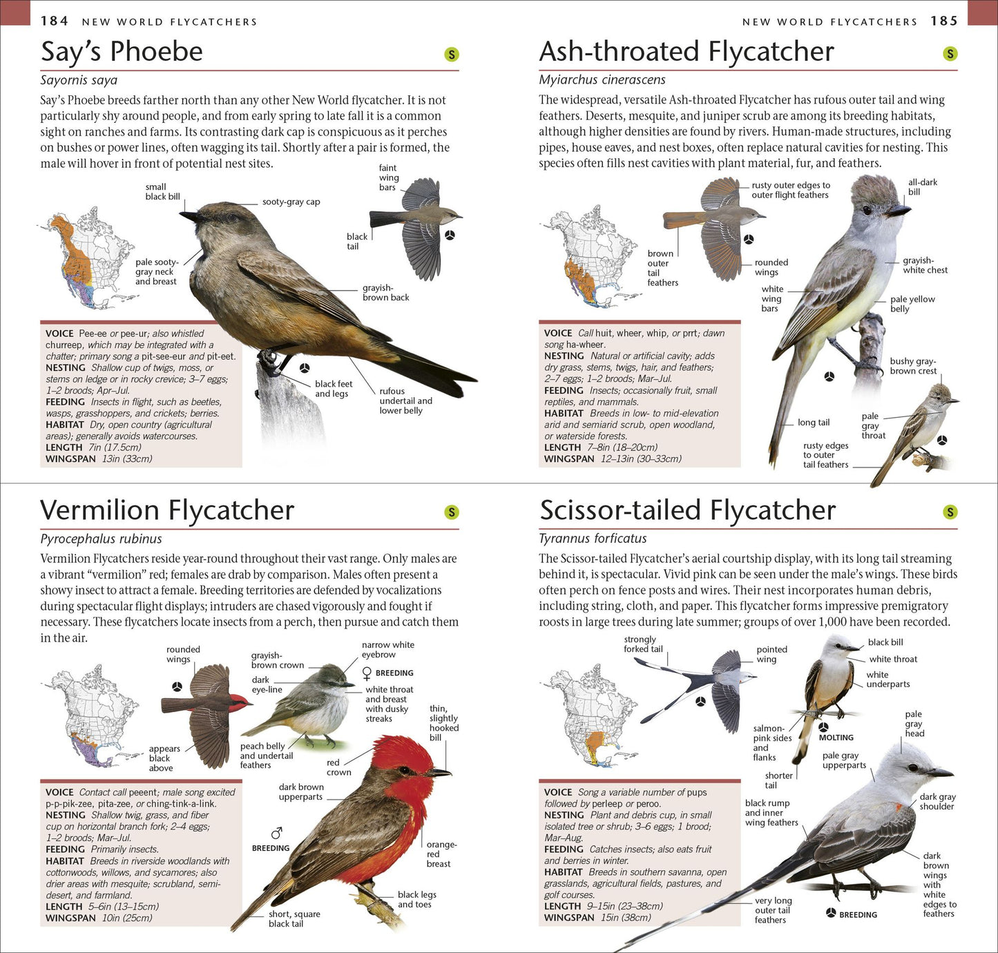 AMNH Pocket Birds of North America Western Region