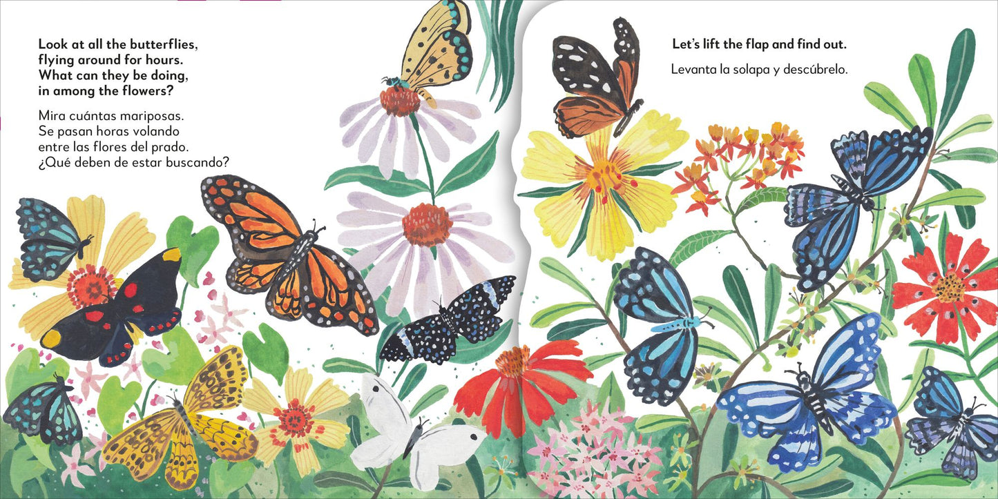 Bilingual Pop-Up Peekaboo! Butterfly - La mariposa