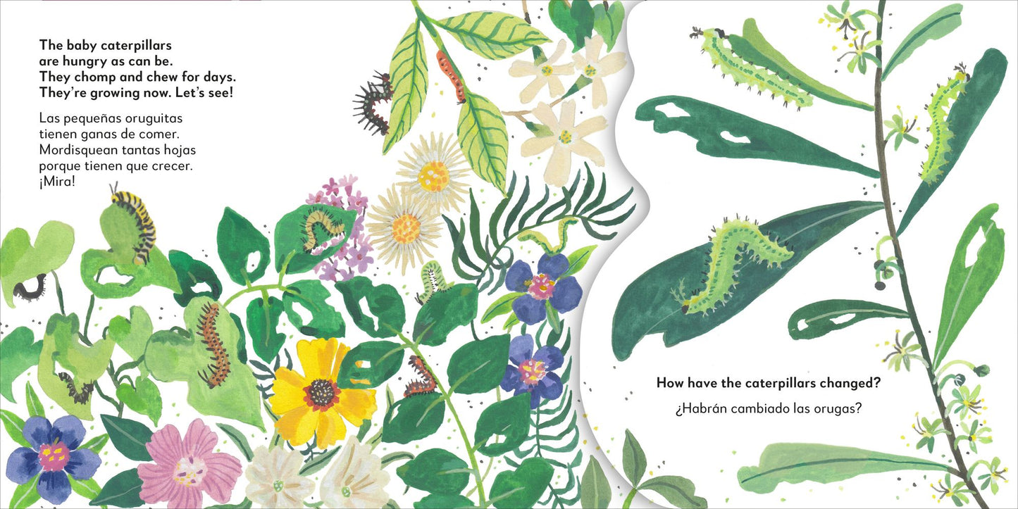 Bilingual Pop-Up Peekaboo! Butterfly - La mariposa