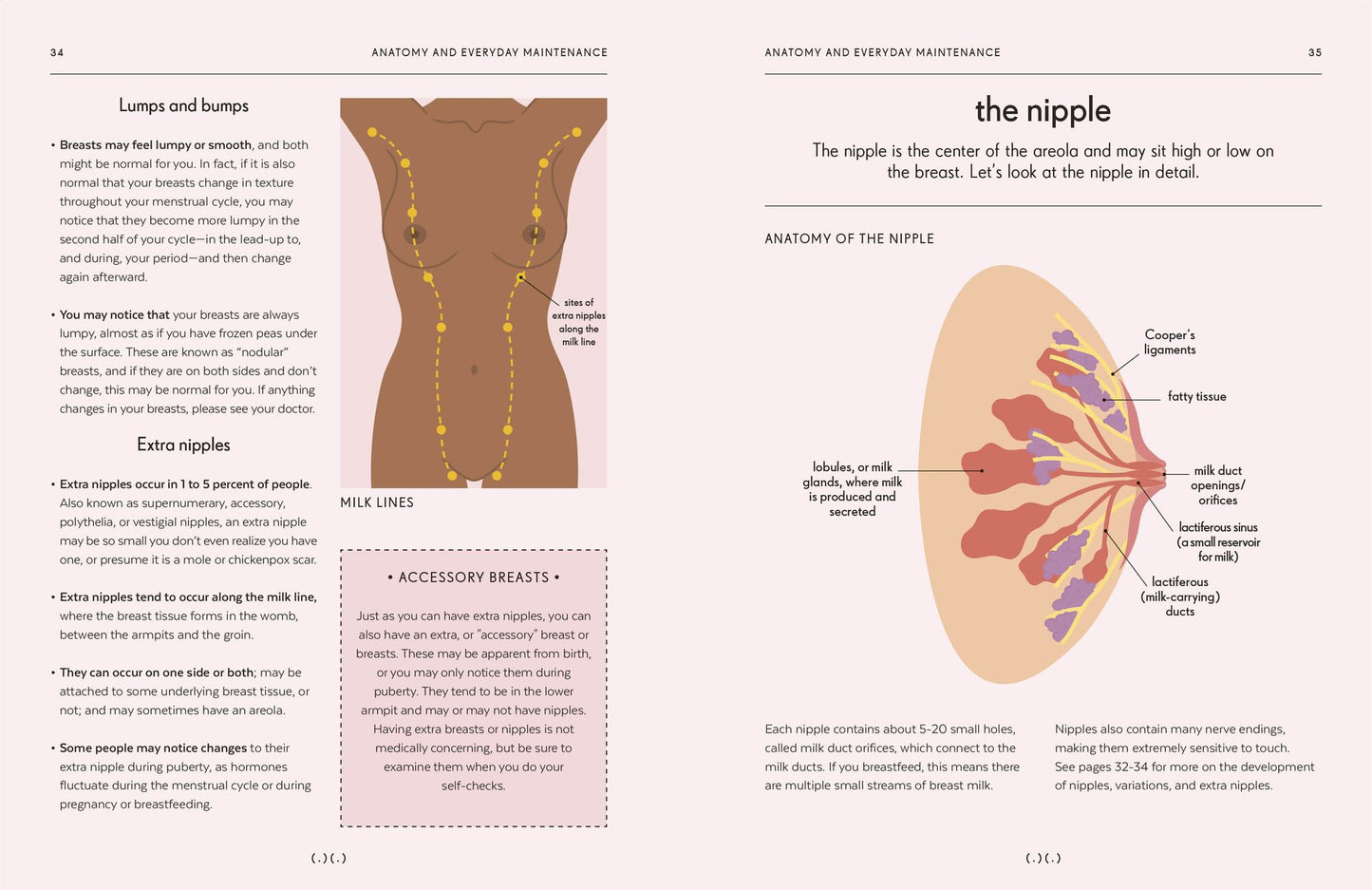 Breasts: An Owner's Guide