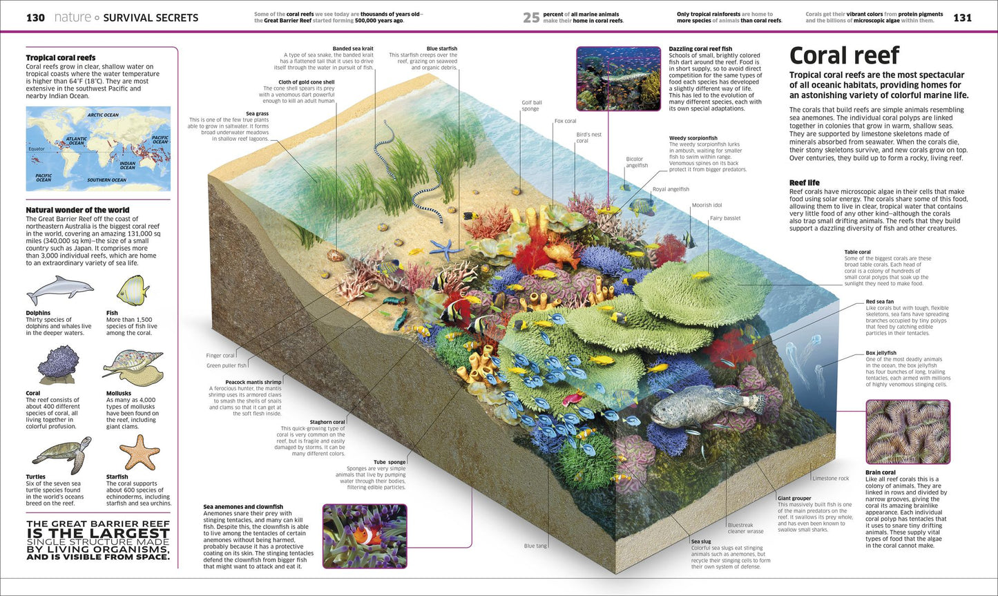 Knowledge Encyclopedia: The World as You've Never Seen it Before