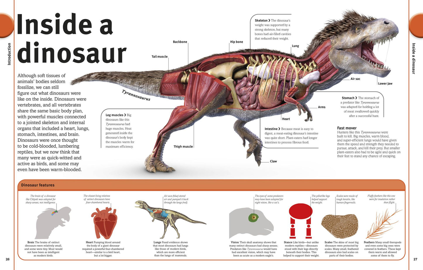 Our World in Pictures The Dinosaur Book