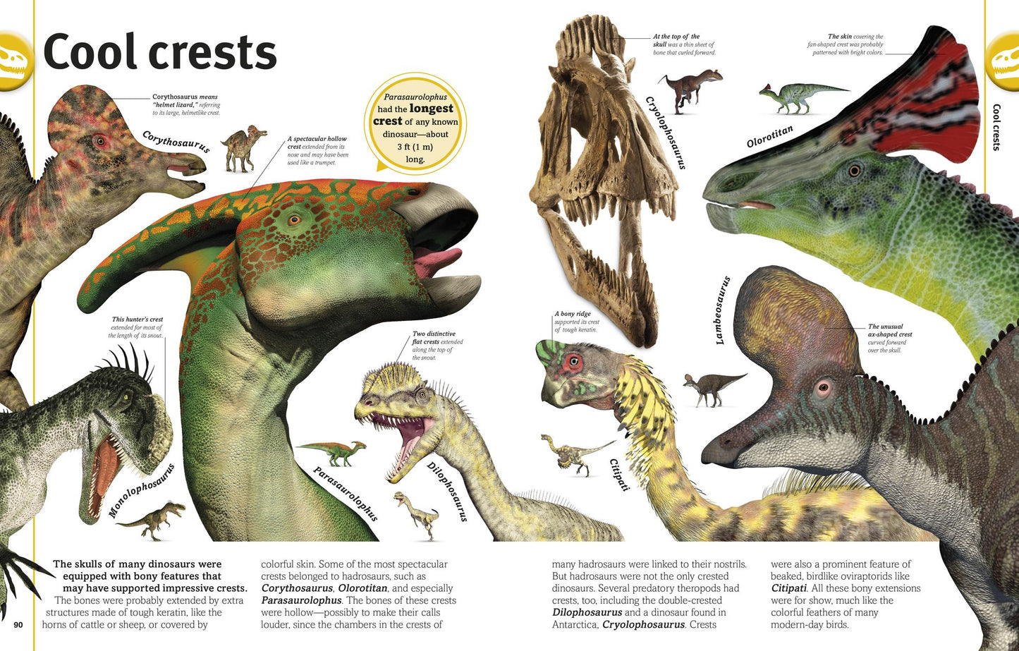 Our World in Pictures The Dinosaur Book