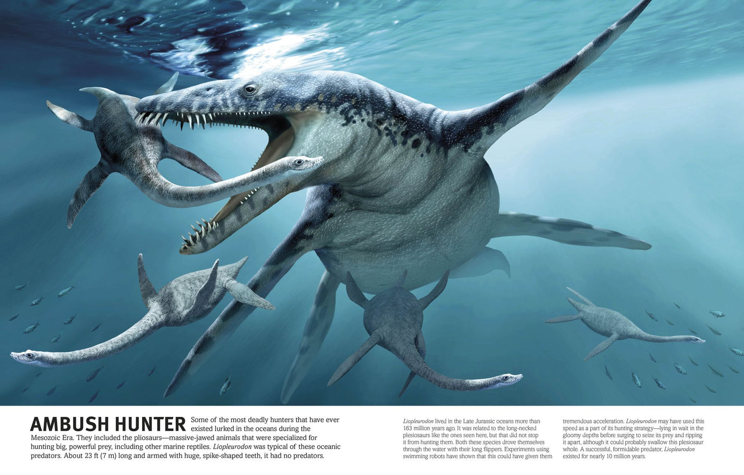 Our World in Pictures The Dinosaur Book
