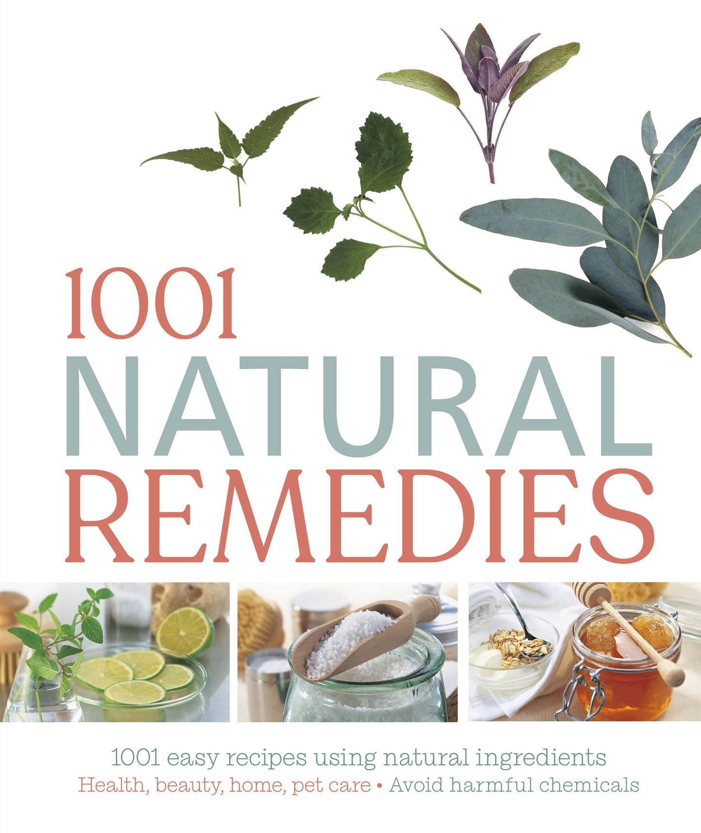 1001 Natural Remedies
