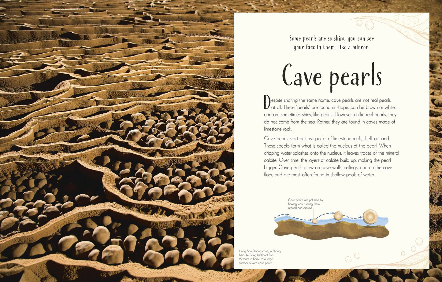 An Anthology of Our Extraordinary Earth