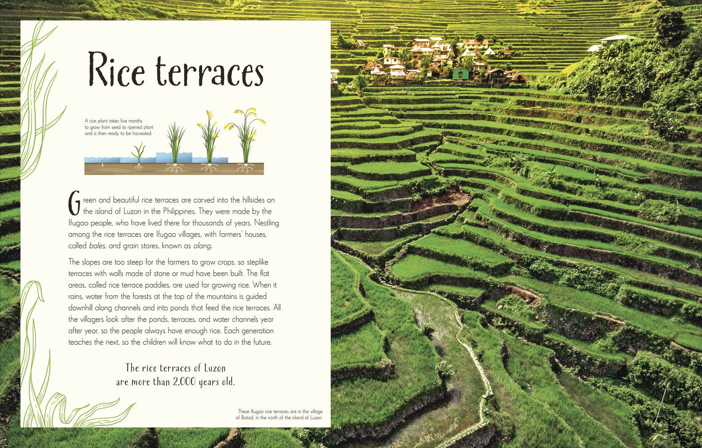 An Anthology of Our Extraordinary Earth