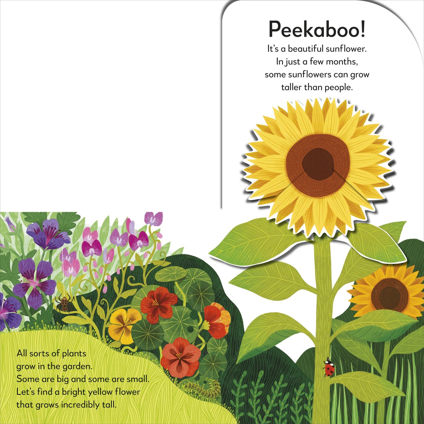 Pop-Up Peekaboo! Garden: Pop-Up Surprise Under Every Flap!