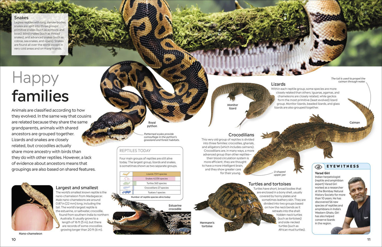 Eyewitness Reptile