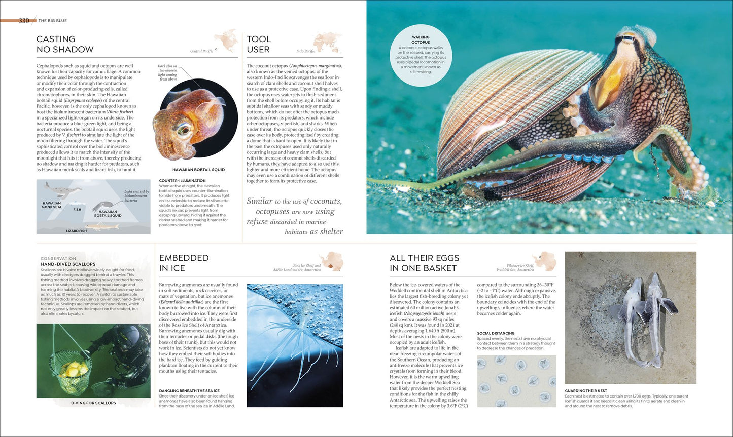 Habitats: From Ocean Trench to Tropical Forest