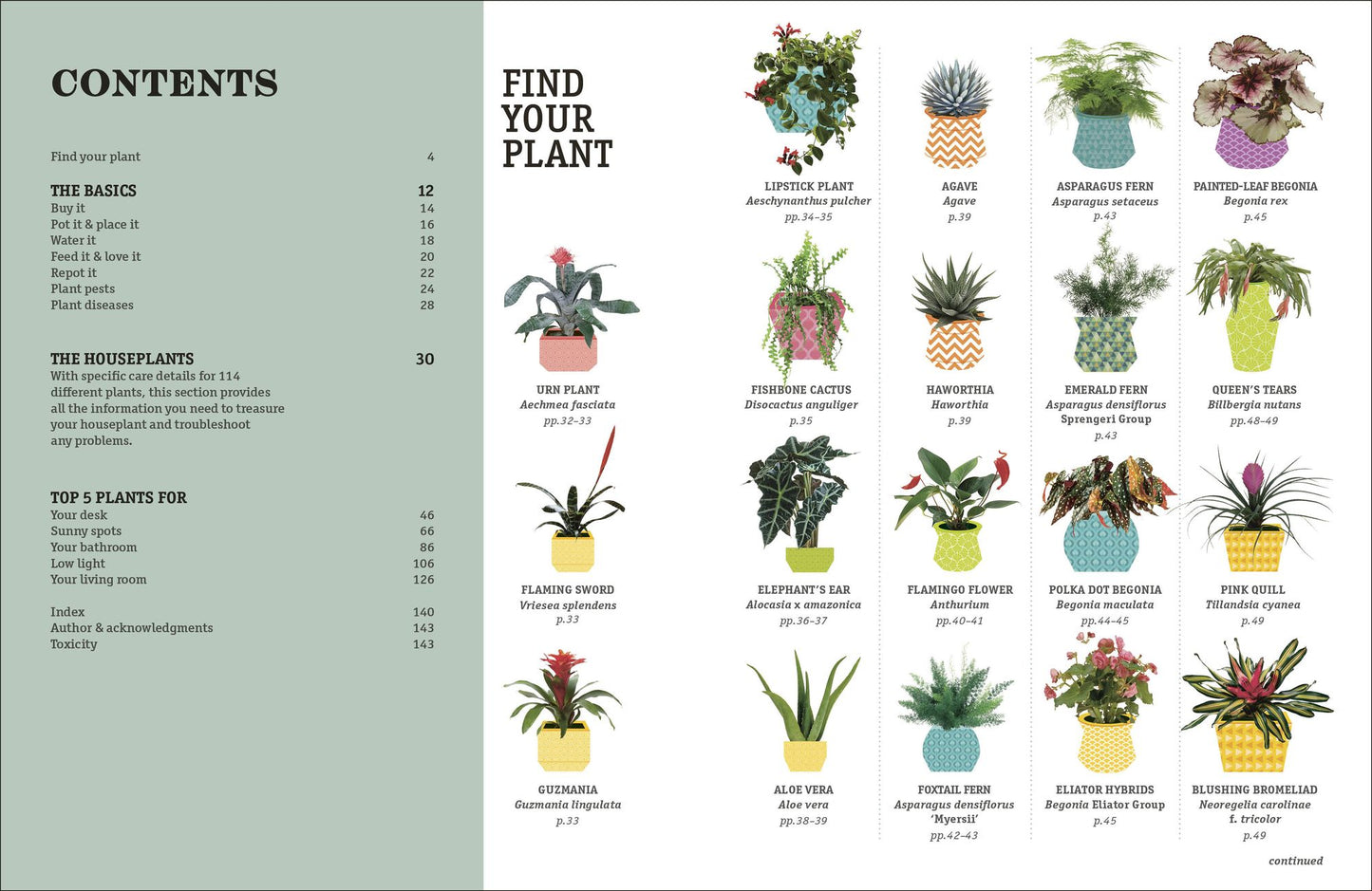 How Not to Kill Your Houseplant New Edition: Survival Tips for the Horticulturally Challenged