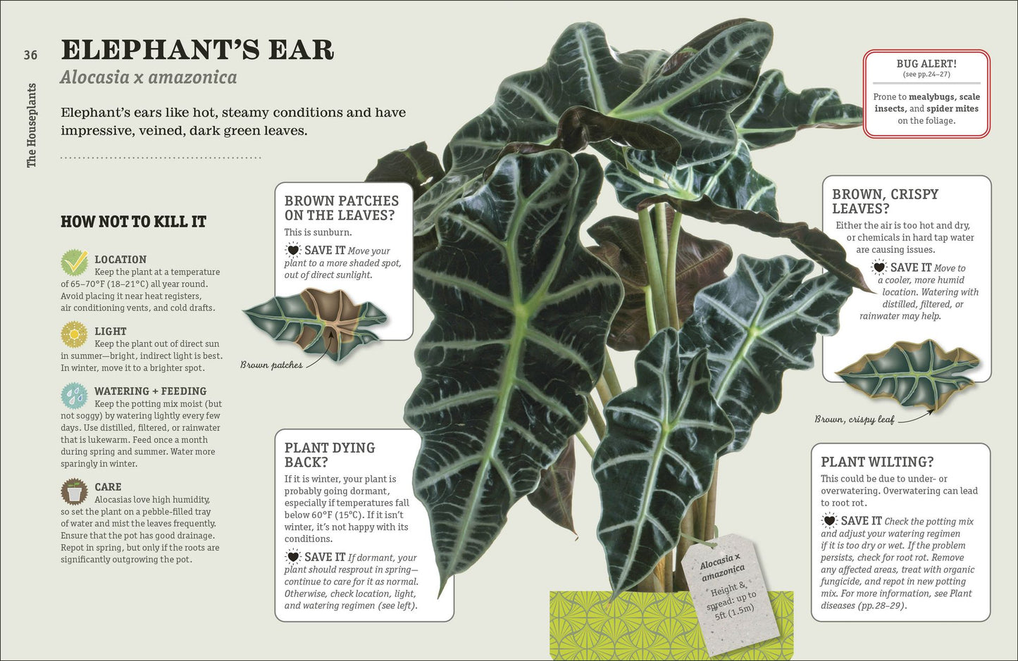 How Not to Kill Your Houseplant New Edition: Survival Tips for the Horticulturally Challenged