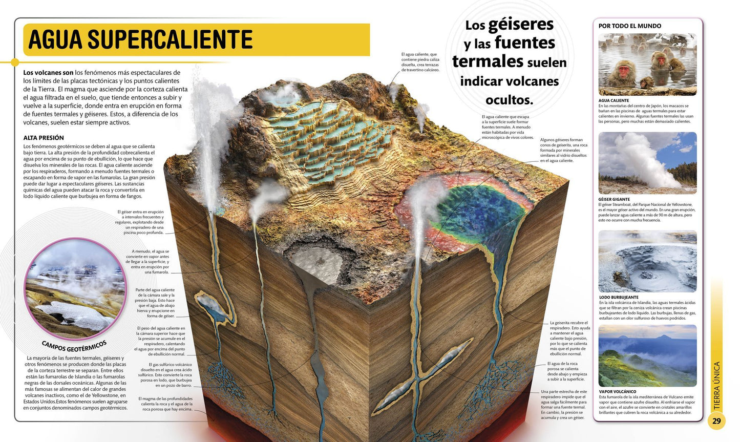 Super Planeta: Los Ecosistemas, Fenomenos Astmosfericos Y Maravillas de la Tierra