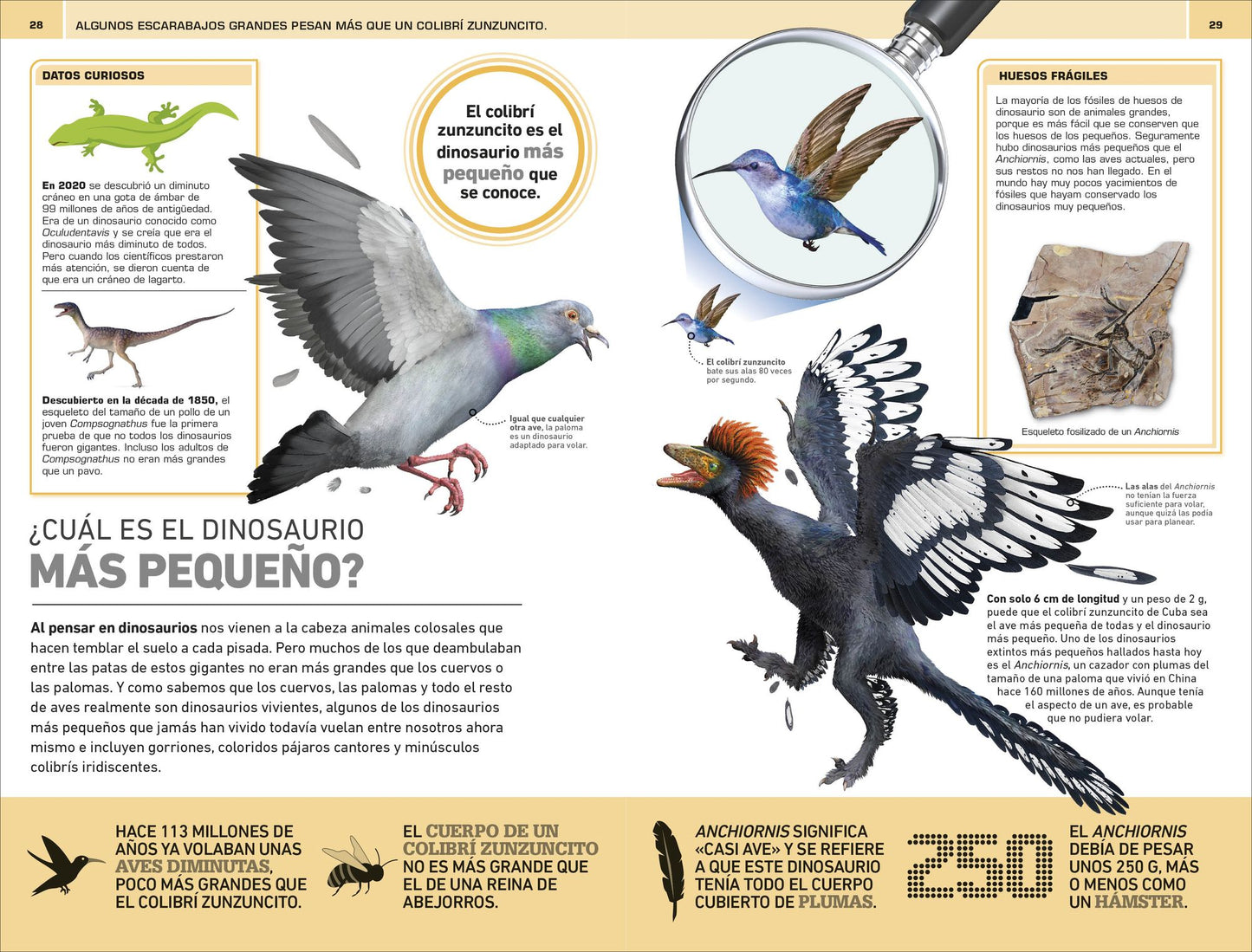Dinosaurios: 1000 curiosidades increíble (1,000 Amazing Dinosaurs Facts)