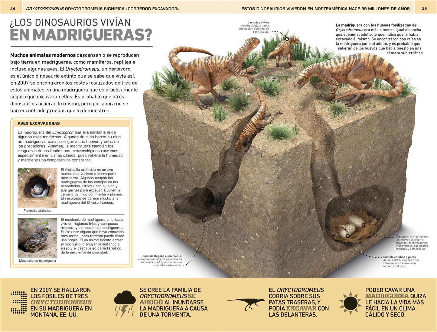 Dinosaurios: 1000 curiosidades increíble (1,000 Amazing Dinosaurs Facts)