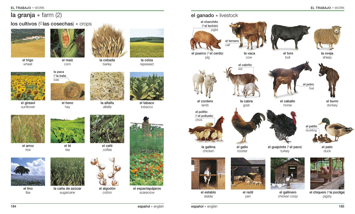 Spanish English Bilingual Visual Dictionary