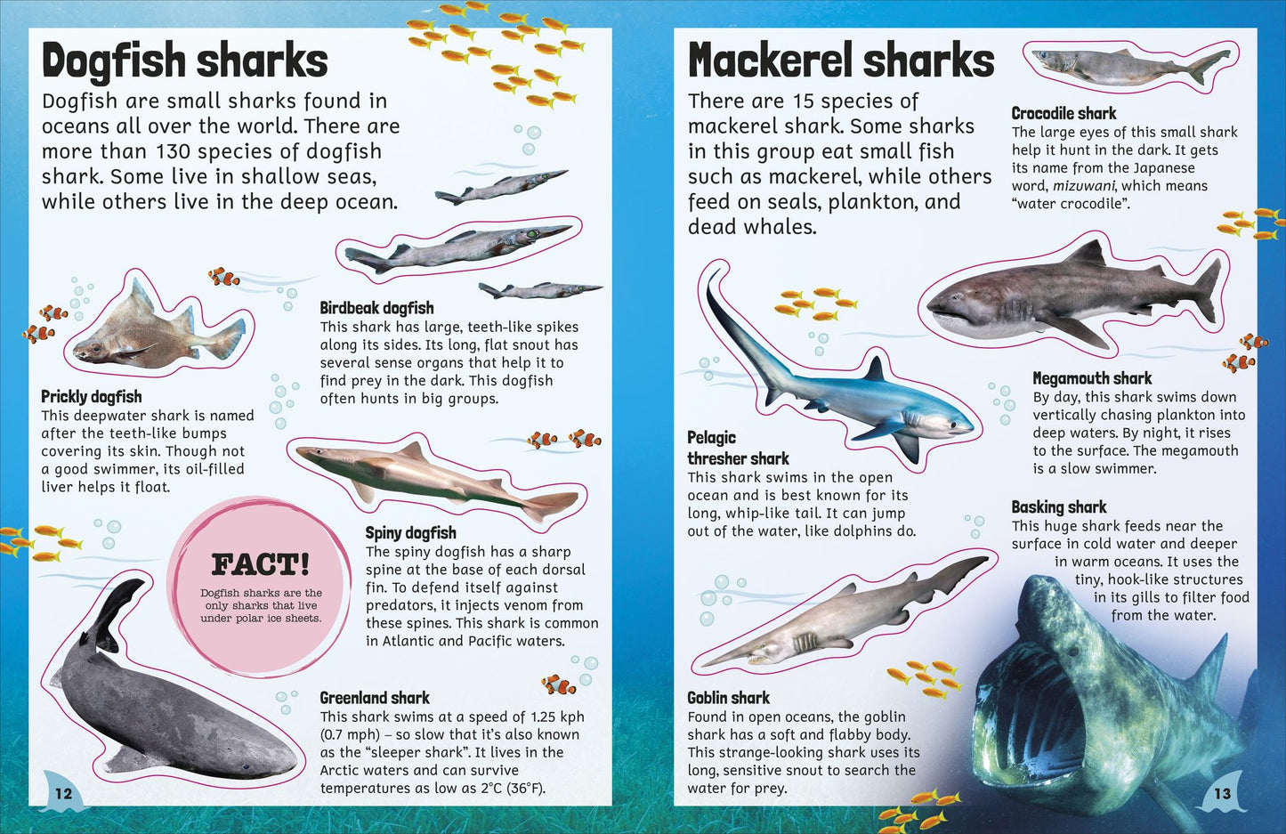 Sticker Encyclopedia Sharks: More Than 600 Stickers