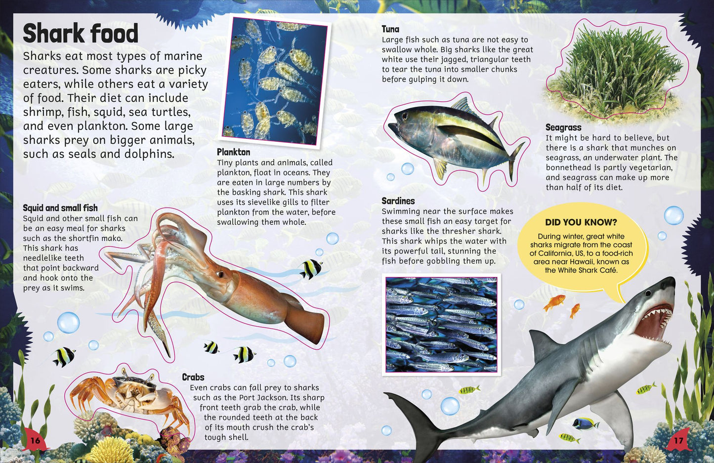 Sticker Encyclopedia Sharks: More Than 600 Stickers