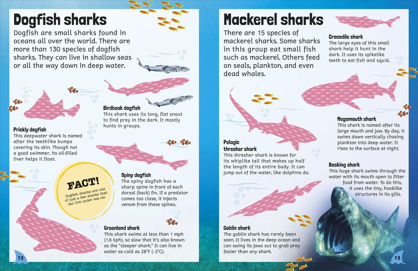 Sticker Encyclopedia Sharks: More Than 600 Stickers